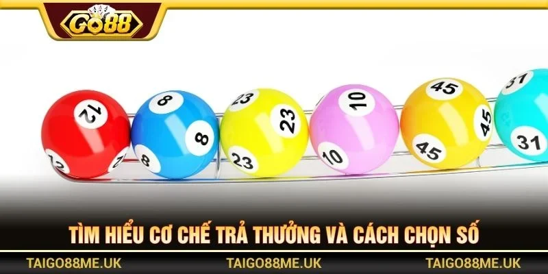 Tìm hiểu cơ chế trả thưởng và cách chọn số